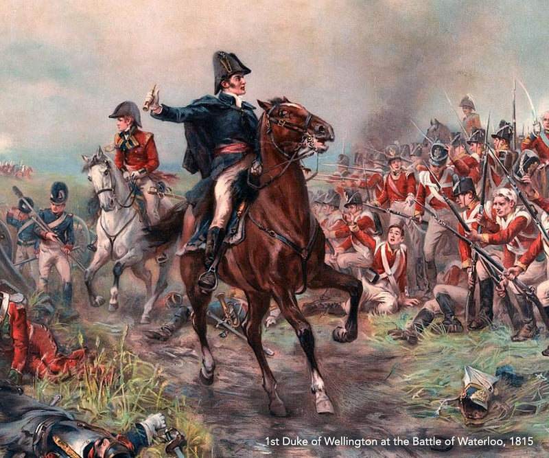 Duke of Wellington Battle of Waterloo